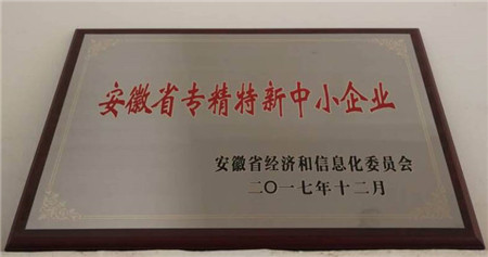 安徽省專精特新中小企業(yè).jpg